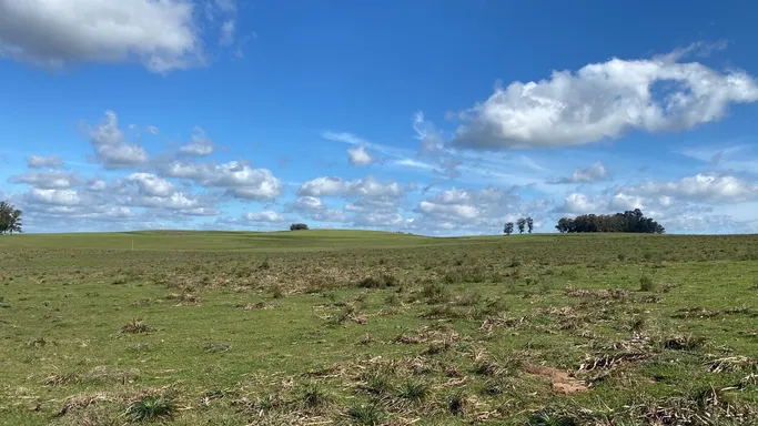Área de campo para pecuária em Bagé/RS