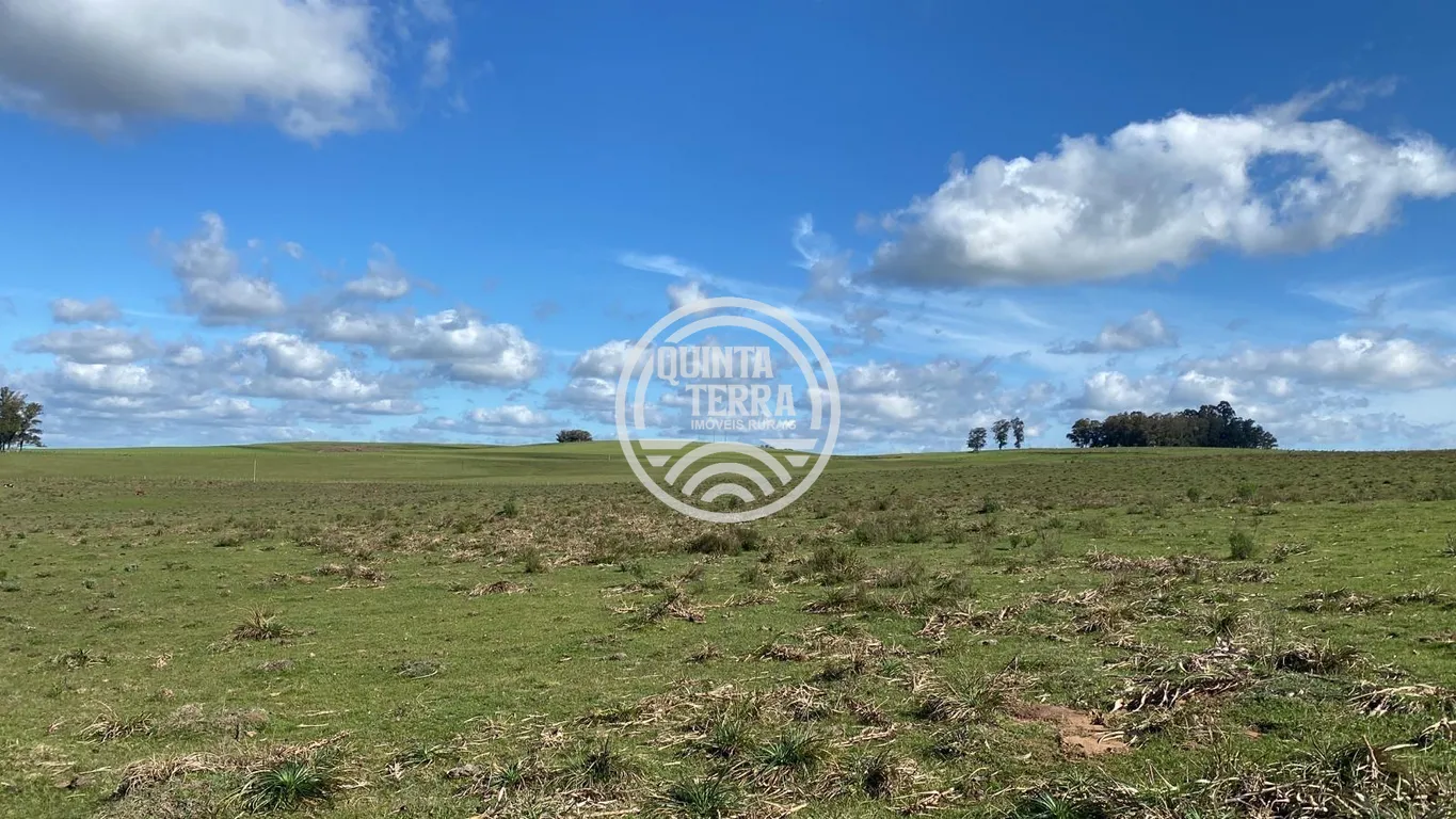 Área rural em Bagé/RS - foto 1
