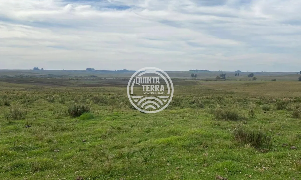 Área rural em Bagé/RS - foto 3