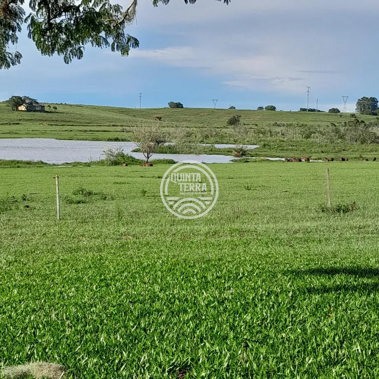 Área em Porto Alegre/RS - foto 1