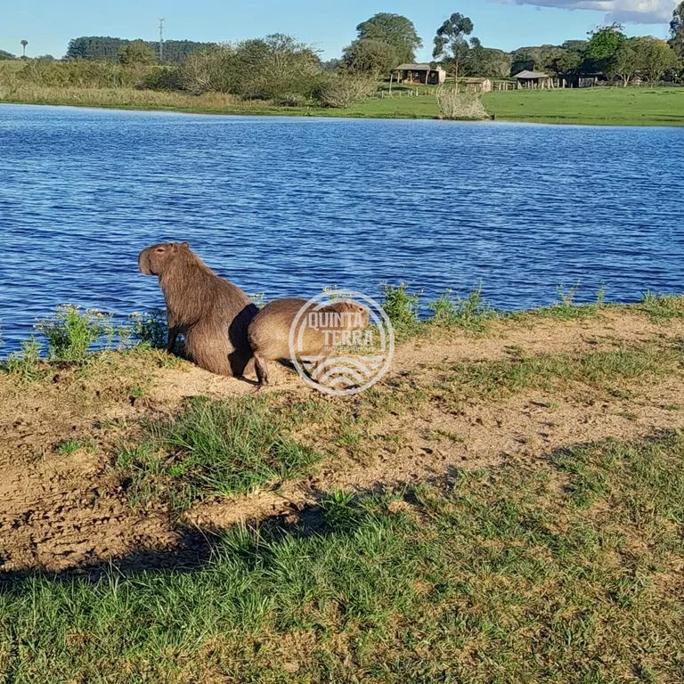 Área em Porto Alegre/RS - foto 22