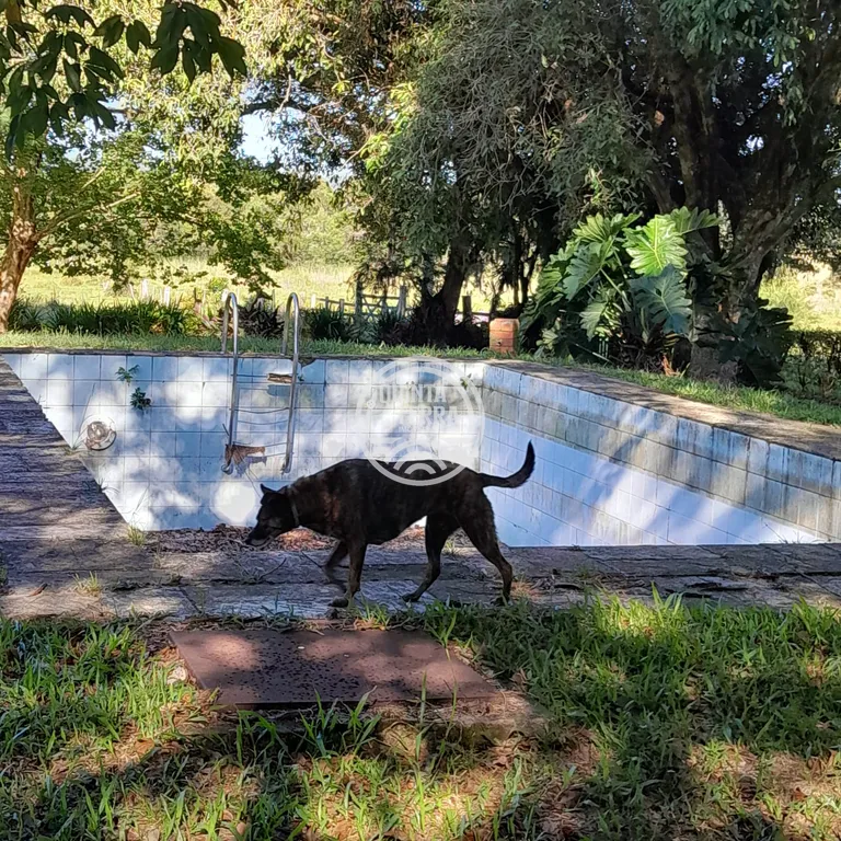 Área em Porto Alegre/RS - foto 3