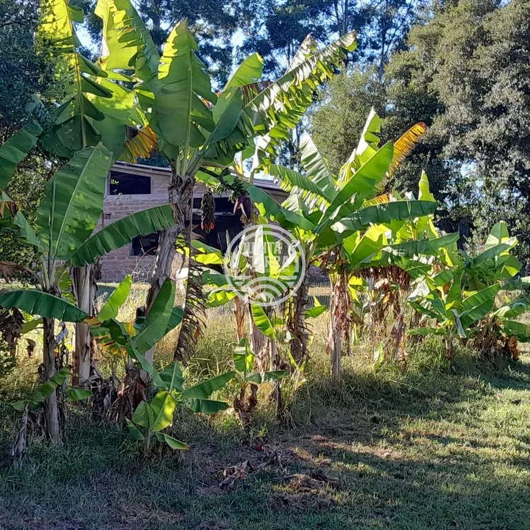Área em Porto Alegre/RS - foto 5